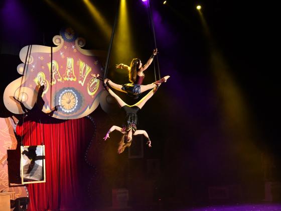 «Безумная ночь в музее - 2»  - новое  шоу цирка «Браво»