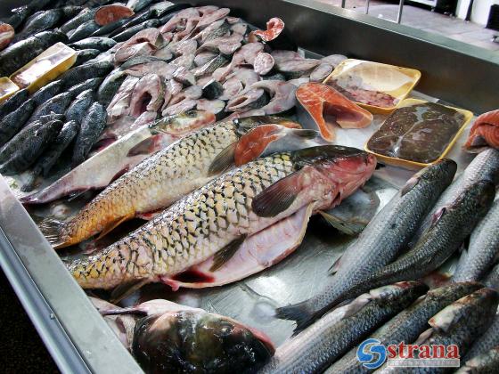 Минздрав Израиля предупреждает: покупать рыбу с чешуей и плавниками смертельно опасно
