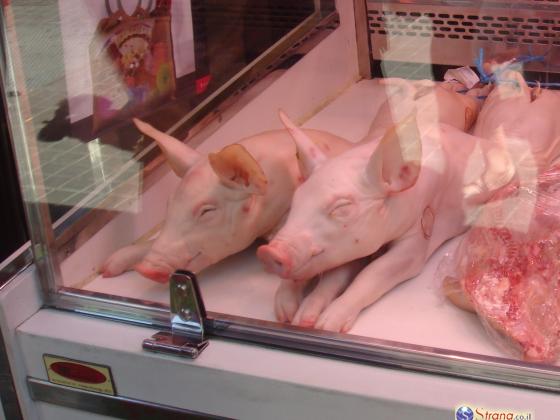 В Ришон ле-Ционе выпал «свиной дождь»: тонна мяса  на улице города (ВИДЕО)