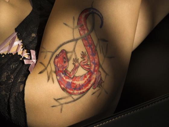 Интимная татуировка разрушила жизнь семейной пары