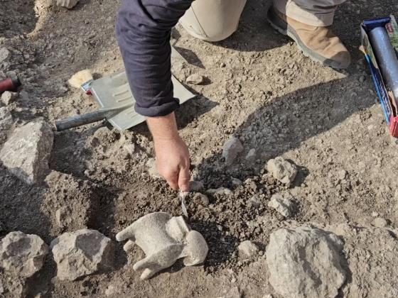 В районе Мегиддо археологи обнаружили одну из самых древних виноделен Израиля - её возраст около 5000 лет