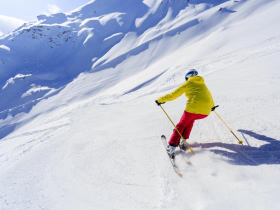 19-летняя израильтянка погибла при катании на лыжах во Французских Альпах