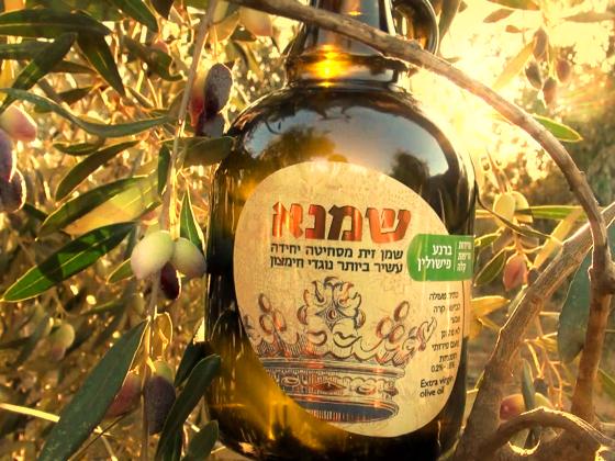 Урожай года: свежайшее оливковое масло «Шамна» по особенной цене