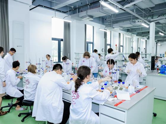 Началась запись на программы Минпроса для талантливых подростков