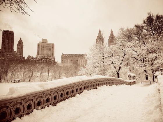 Последствия зимней бури «Ферн» в США: не менее 85 погибших