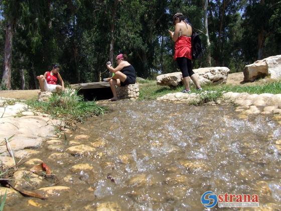 Ручьи и реки на севере Израиля опасно загрязнены