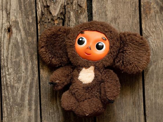 В России предлагают создать аналог «Диснейленда» – «Чебурляндию»