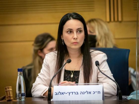 Элина Бардач-Ялова: Сторонникам террора в Кнессете делать нечего
