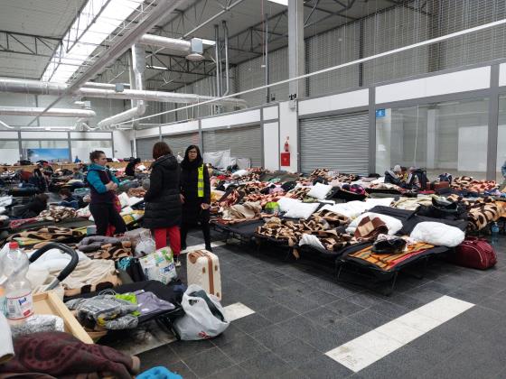 Пресс-служба Шакед: решение о трудоустройстве украинских беженцев еще не принято