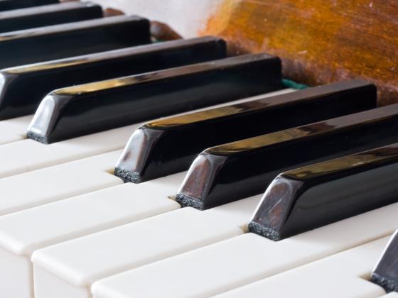 Музыкальное образование оказывает благотворное влияние на общее развитие