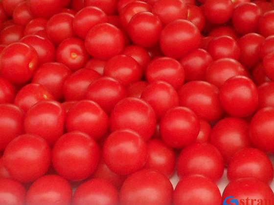 В Израиле резко подорожали помидоры