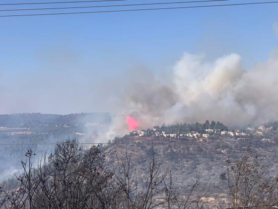 Правительство утвердило 60 миллионов шекелей на устранение ущерба от пожаров в Иудейских горах