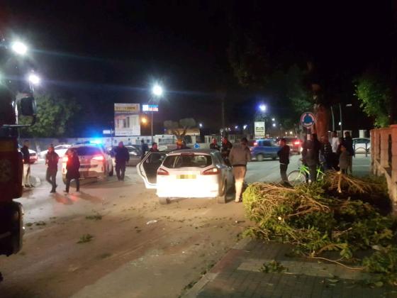 Хроника шторма: в Бейт-Шеане пострадали два человека в результате падения дерева