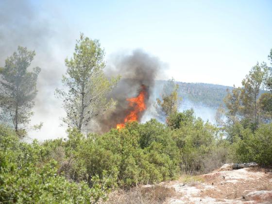 Более суток продолжается тушение пожара в районе горы Тавор