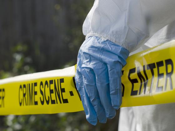 В штате Мэриленд, в одном из частных домов, найдены убитыми пять человек