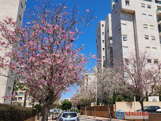 Прогноз погоды в Израиле на 20 апреля: прохладно, слабые дожди на севере