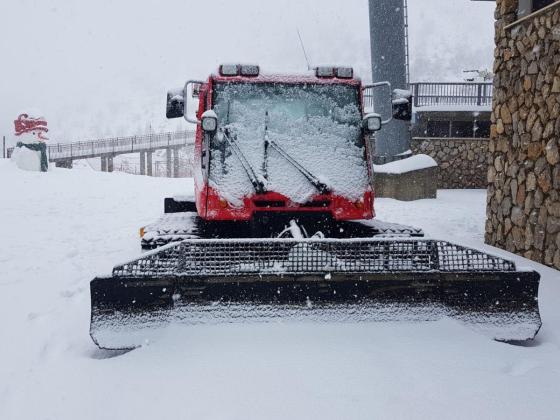 На горе Хермон начался снегопад: курорт открыт, но возможны ограничения