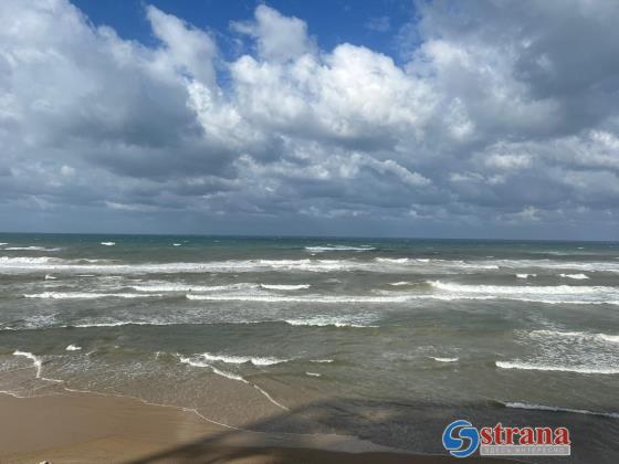 Минздрав предупреждает: из-за загрязнения воды нельзя купаться на пляжах нескольких городов