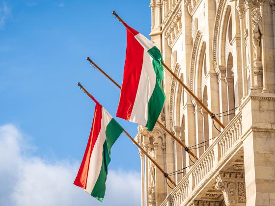 Венгрия заблокировала санкции ЕС против поселенцев: «Неправильно ставить их на одну доску с ХАМАСом»