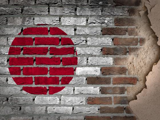 Японская компания прекращает отношения с «Эльбитом» из-за Международного суда в Гааге