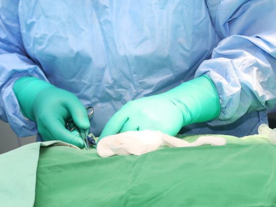 Суд оправдал хирурга, который отрезал пенис 4-летнему пациенту