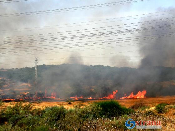 Огнем уничтожены 7500 дунамов леса и кустарника