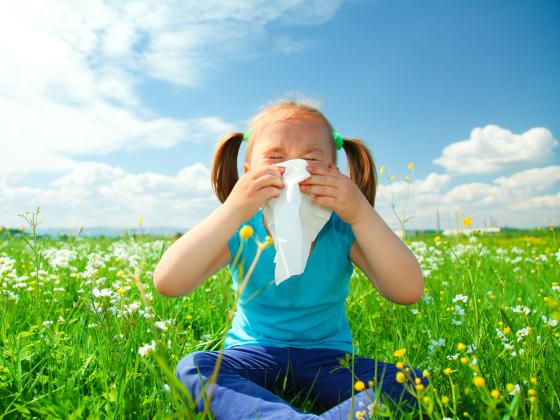 Болезнь XXI века – аллергия