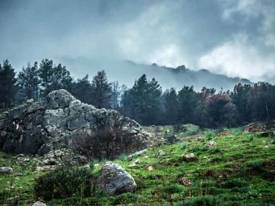 В субботу на севере страны для посетителей вновь откроются семь заповедников и парков