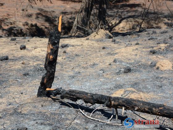 «Огненный шар» из Газы вызвал пожар в кибуце Нахаль-Оз