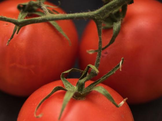 Названы полезные свойства томатов, о которых мало кто знает