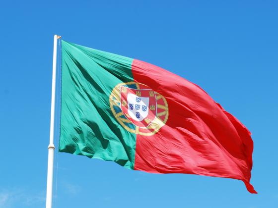 Израильский миллиардер Леваев добивается гражданства Португалии