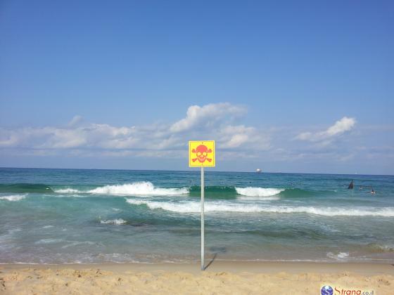 Запрещено купание в море у пляжей в региональном совете Хоф а-Кармель