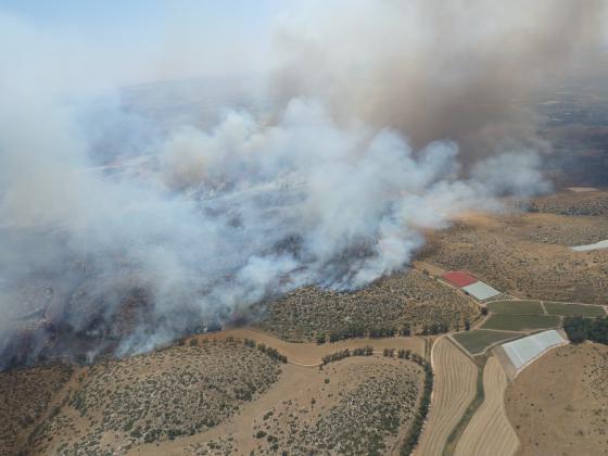 Пожарная служба: в результате поджога уничтожены 700 дунамов растительности