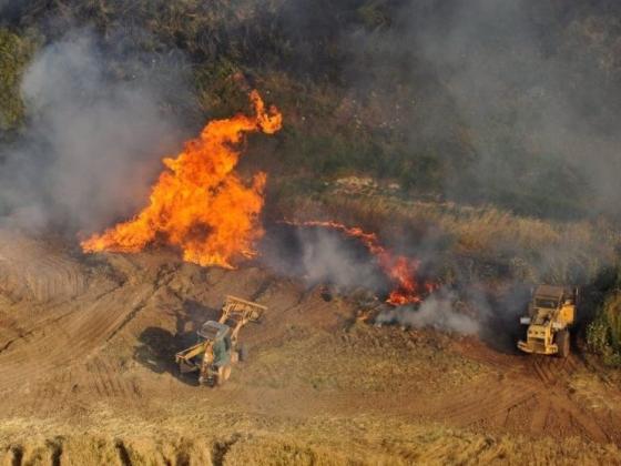 Пожар в районе Бейт-Шемеша потушен. Сгорели 400 дунамов леса
