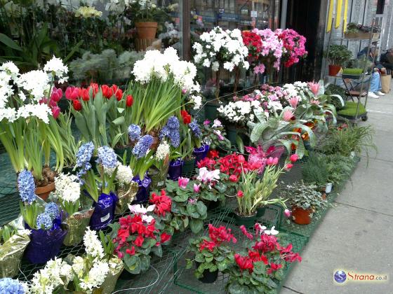 Полиция оштрафовала владельца фирмы по рассылке цветов за торговлю