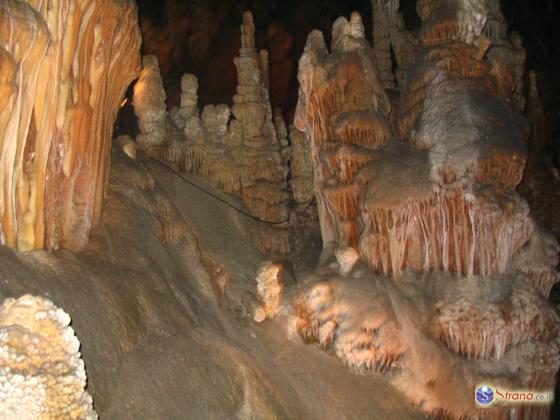 Минэкологии предупреждает: остерегайтесь пещерных клещей