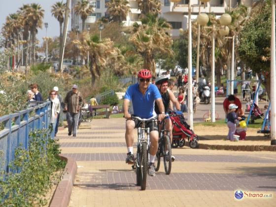 Тель-Авив планируют превратить в велосипедный город