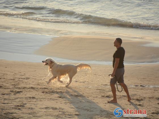 Прогноз погоды в Израиле на 22 января: повышение температуры, облачно