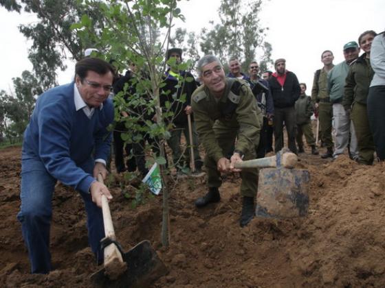 Лес стратегического назначения