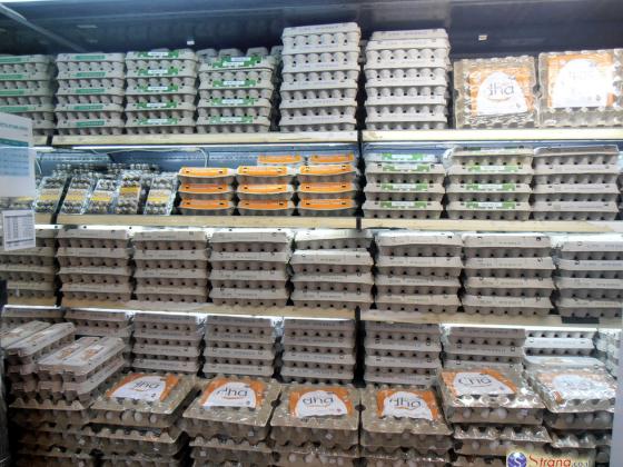 Кнессет увеличил количество яиц в Израиле