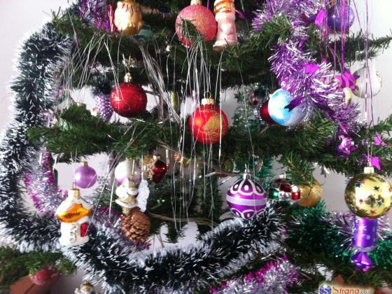 Новогодняя елка в детском саду возмутила родителей Ришон ле-Циона