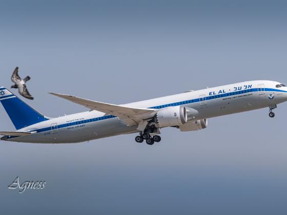 Самолет «Эль-Аля», летевший в Тель-Авив, вернулся в аэропорт Дубая вскоре после взлета