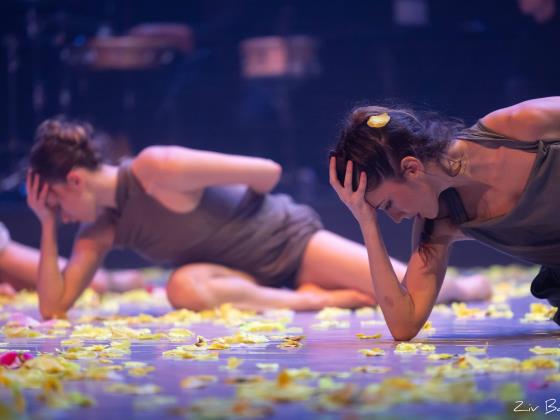 Танцевальная компания Vertigo представляет: «KUMA»