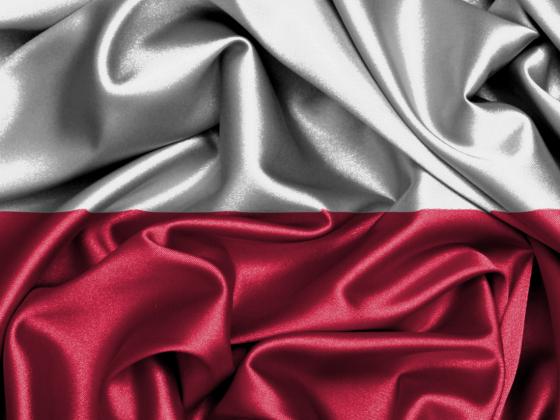 Польша потребует от Германии выплаты репараций: 900 млрд долларов