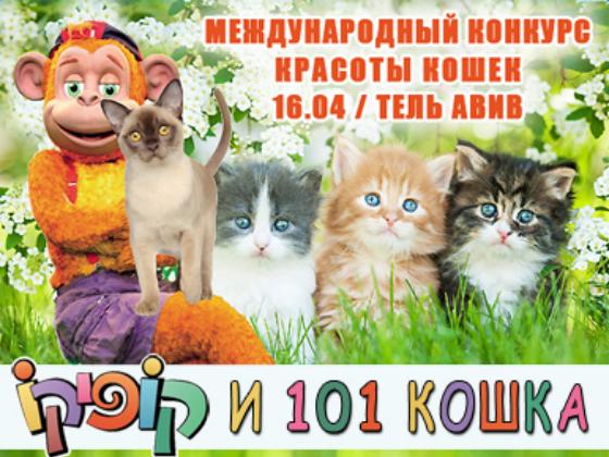 Международный Конкурс красоты кошек в Тель-Авиве