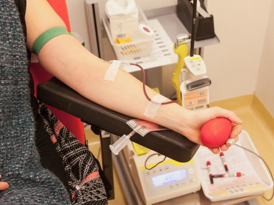 После теракта МАДА открывает пункты забора донорской крови 