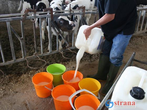 В Израиле выросли закупочные цены на молоко