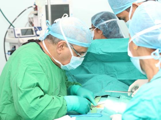 Трансплантология в Израиле: мифы и реальность