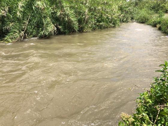 Сброс сточных вод в ручей Александр: требуется новый водоочистной комплекс стоимость 300 млн шекелей