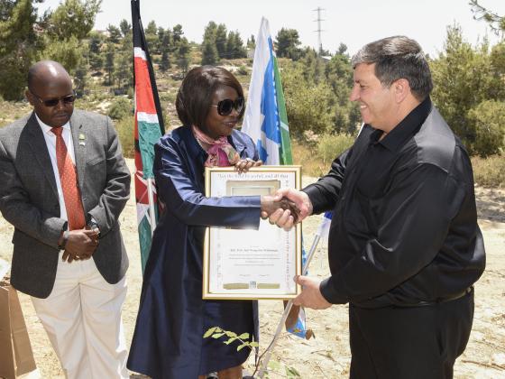 Израиль и Кения подписали меморандум о сотрудничестве в области лесоводства